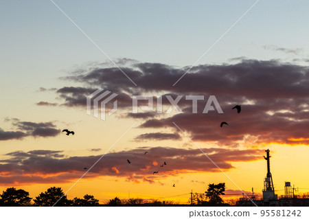 秋日夕陽與烏鴉在天空飛翔 95581242