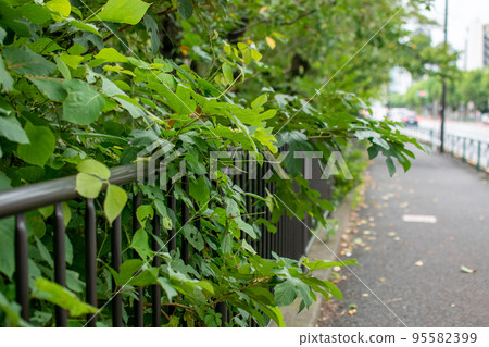 東京都外堀街/新宿區 95582399