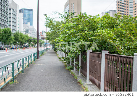 東京都外堀街/新宿區 95582401