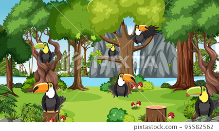 Toucan birds in the jungle scene Toucan birds in the jungle scene 95582562