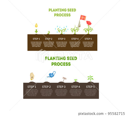 Planting Seeds Steps and Process Infographic Design Vector Set 95582715
