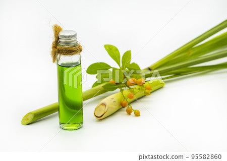 herbal oils extract lemongrass aromatherapy for health care herbal oils extract lemongrass aromatherapy for health care 95582860