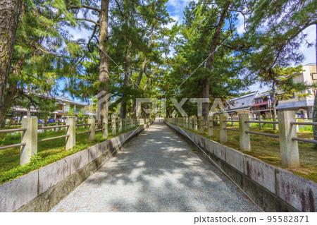 Horyuji Temple Pine forest on the long approach to Nandaimon 95582871