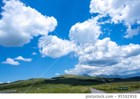 <長野>霧峰高原和雲 95582958
