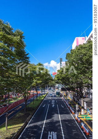 <宮城縣>仙台市 95583007