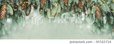 Winter Christmas tree branches with cones in blurred defocused snow with lights border. Copy space. Wide banner. Selective focus on cones Winter Christmas tree branches with cones in blurred defocused snow with lights border. Copy space. Wide banner. Selective focus on cones 95583724