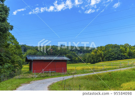 寧靜的田園風光[奈良縣生駒郡斑鳩町] 95584098