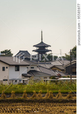 The town of Ikaruga at dusk Dried straw and the five-storied pagoda of Horyuji Temple 95585977