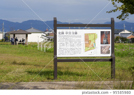 Historical Site Chugu-ji Ruins Cosmos Flowers (Ikaruga Town, Nara Prefecture) Historical Site Chugu-ji Ruins Cosmos Flowers (Ikaruga Town, Nara Prefecture) 95585980