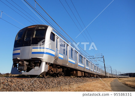E217 series Incurve Monoi-Sakura E217 series Incurve Monoi-Sakura 95586331