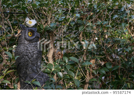 Owl figurine and nature 95587174
