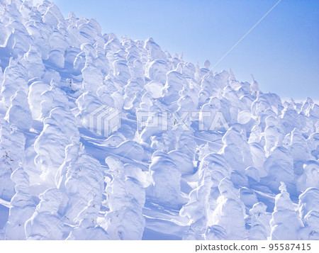 Sunny Juhyo Field (Zao Onsen Ski Resort, Yamagata Prefecture) 95587415