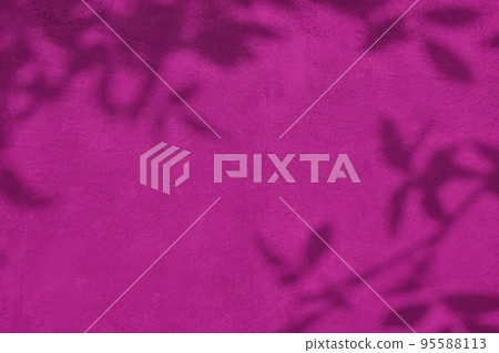 Shadow of leaves on pink concrete wall texture background Shadow of leaves on pink concrete wall texture background 95588113