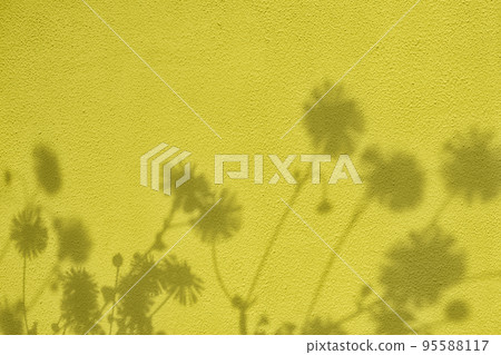 Shadow of flowers on greenish yellow concrete wall texture background Shadow of flowers on greenish yellow concrete wall texture background 95588117