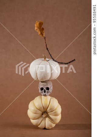 Autumn fall modern still life 95588491