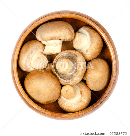 Brown champignons, in a wooden bowl, isolated, from above. Raw, young mushrooms, Agaricus bisporus, known as Swiss, Roman or Italian brown mushroom, cremini or chestnut mushroom or also as baby bella! Brown champignons, in a wooden bowl, isolated, from above. Raw, young mushrooms, Agaricus bisporus, known as Swiss, Roman or Italian brown mushroom, cremini or chestnut mushroom or also as baby bella! 95588773