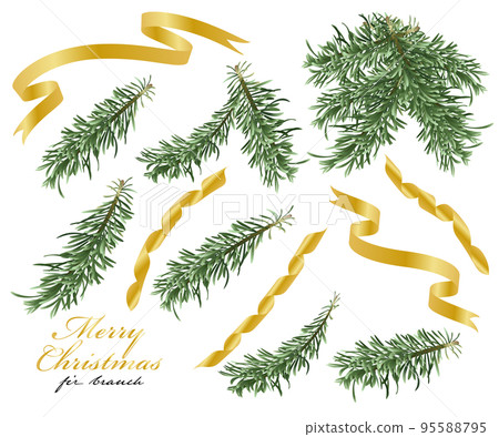 fir branch christmas illustration material vector gold ribbon fir branch christmas illustration material vector gold ribbon 95588795