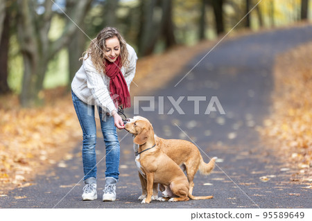 A young woman feeds her two dogs treats for obedient behavior 95589649