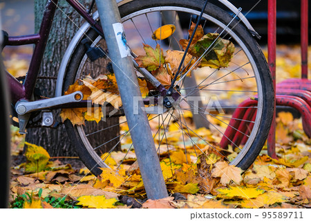 Bicycle in autumn leaves in the city. Autumn scene in the city, colorful autumn leaves 95589711