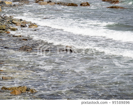 Whitecaps on the coast. 95589896