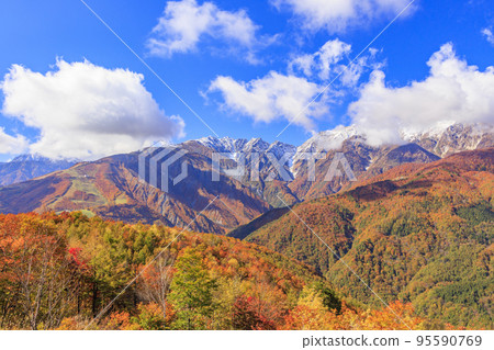 Three stages of autumn leaves from Iwatake Mountain Resort in autumn 95590769