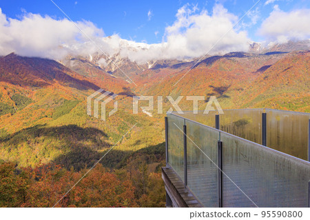 Three stages of autumn leaves from Iwatake Mountain Resort in autumn 95590800