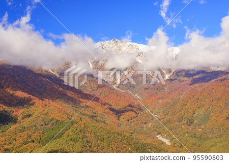Three stages of autumn leaves from Iwatake Mountain Resort in autumn 95590803