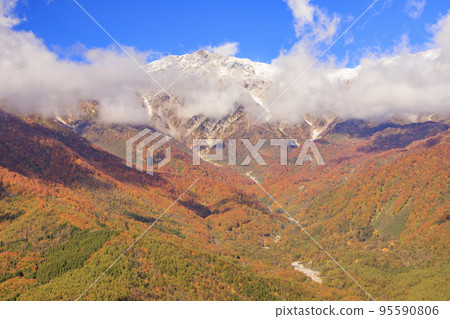 Three stages of autumn leaves from Iwatake Mountain Resort in autumn Three stages of autumn leaves from Iwatake Mountain Resort in autumn 95590806