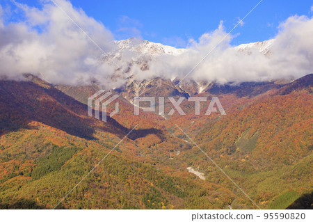 Three stages of autumn leaves from Iwatake Mountain Resort in autumn 95590820
