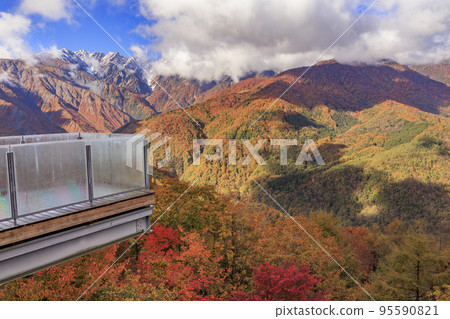 Three stages of autumn leaves from Iwatake Mountain Resort in autumn 95590821