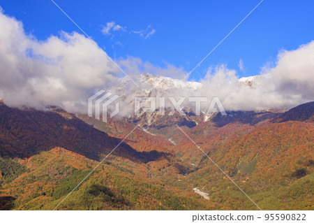 Three stages of autumn leaves from Iwatake Mountain Resort in autumn 95590822