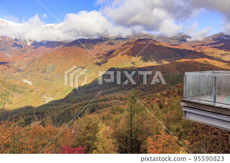 Three stages of autumn leaves from Iwatake Mountain Resort in autumn 95590823