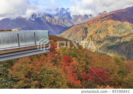 Three stages of autumn leaves from Iwatake Mountain Resort in autumn Three stages of autumn leaves from Iwatake Mountain Resort in autumn 95590841