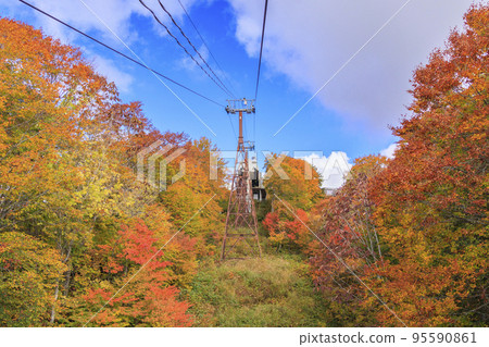 岩岳避暑山莊秋季三期紅葉 岩岳避暑山莊秋季三期紅葉 95590861
