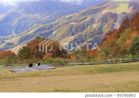 岩岳避暑山莊秋季三期紅葉 岩岳避暑山莊秋季三期紅葉 95590863