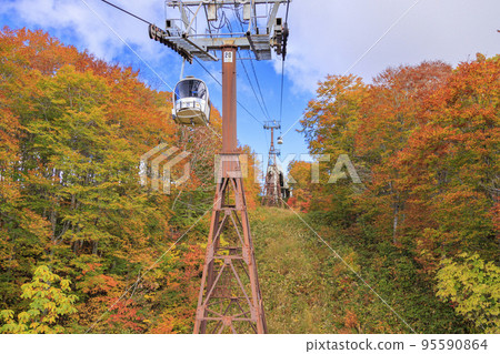Three stages of autumn leaves from Iwatake Mountain Resort in autumn 95590864