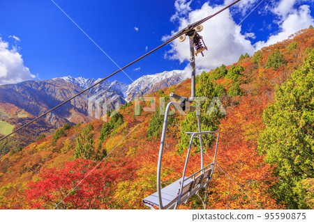 Three stages of autumn leaves from Iwatake Mountain Resort in autumn 95590875