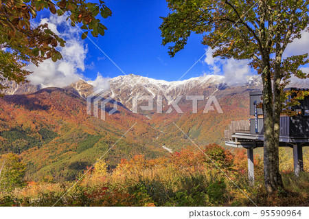 岩岳避暑山莊秋季三期紅葉 岩岳避暑山莊秋季三期紅葉 95590964