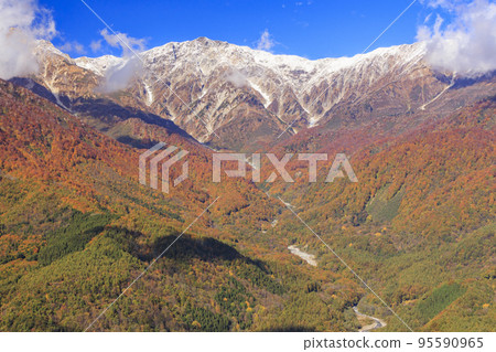 Three stages of autumn leaves from Iwatake Mountain Resort in autumn Three stages of autumn leaves from Iwatake Mountain Resort in autumn 95590965