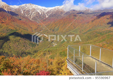 Three stages of autumn leaves from Iwatake Mountain Resort in autumn 95590967