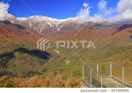 Three stages of autumn leaves from Iwatake Mountain Resort in autumn 95590968