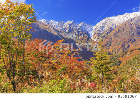Three stages of autumn leaves from Iwatake Mountain Resort Hakuba Hitotokinomori 95591067