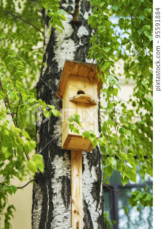 Wooden birdhouse on tree. Bird house hanging on birch tree with green foliage. Spring and caring for birds Wooden birdhouse on tree. Bird house hanging on birch tree with green foliage. Spring and caring for birds 95591884