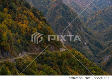 秋葉山路 秋葉山路 95591885
