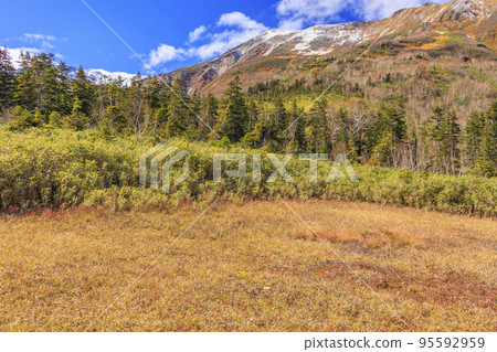 Tsugaike Nature Park in full bloom of autumn leaves 95592959