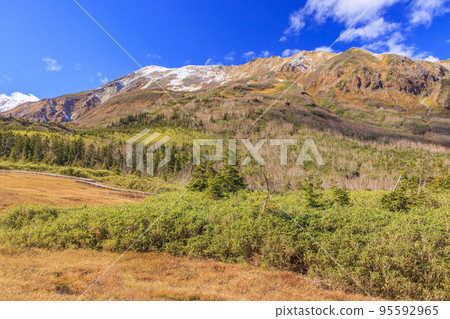 Tsugaike Nature Park in full bloom of autumn leaves 95592965