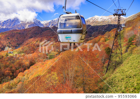Tsugaike Nature Park in full bloom of autumn leaves Tsugaike Nature Park in full bloom of autumn leaves 95593066
