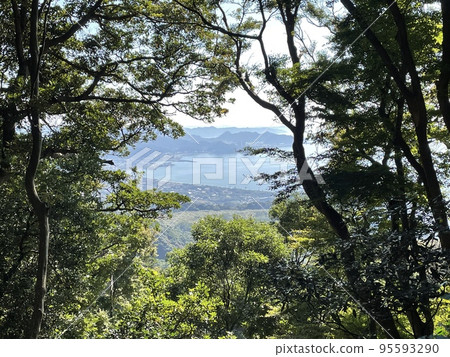 千葉縣 Nokogiriyama、房總街景和從山路上的樹木中看到的大海 千葉縣 Nokogiriyama、房總街景和從山路上的樹木中看到的大海 95593290