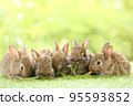 Cute little rabbit on green grass with natural bokeh as background during spring. Young adorable bunny playing in garden. Lovely pet at park in spring. 95593852