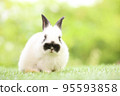 Cute little rabbit on green grass with natural bokeh as background during spring. Young adorable bunny playing in garden. Lovely pet at park in spring. 95593858